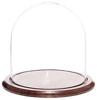 Algopix Similar Product 1 - Plymor 975 x 10 Glass Display Dome