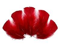 Algopix Similar Product 6 - 14 Lb  Red Dyed Turkey TBase Body