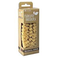 Algopix Similar Product 2 - Natural mane dry brush body