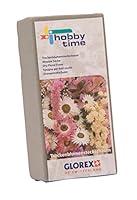 Algopix Similar Product 7 - Glorex Foam for Dried Flowers Grey