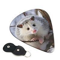 Algopix Similar Product 20 - Opossum In Snow Guitar Picks 6 Pack 3