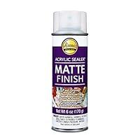Algopix Similar Product 13 - Aleenes Spray Finish 6oz Acrylic