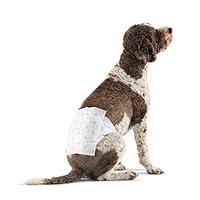 Algopix Similar Product 13 - Amazon Basics Male Dog Wrap Disposable