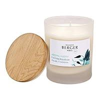 Algopix Similar Product 15 - MAISON BERGER Aroma Happy  Aquatic