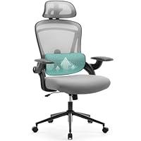 Algopix Similar Product 4 - Ergonomic Mesh Office Chair High Back