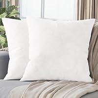 Algopix Similar Product 12 - NEATERIZE Premium Velvet Pillow Covers