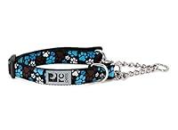 Algopix Similar Product 2 - RC Pets 06 Martingale Training