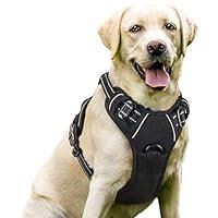 Algopix Similar Product 6 - rabbitgoo Dog Harness NoPull Pet