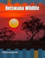 Algopix Similar Product 16 - Botswana Wildlife One of the Best