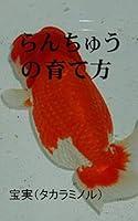 Algopix Similar Product 11 - How to grow Goldfish Ranchu Japanese