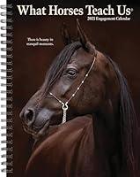 Algopix Similar Product 3 - Willow Creek Press What Horses Teach Us