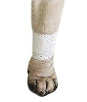 Algopix Similar Product 19 - Pawflex Bandages Basic Bandages for