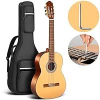 Algopix Similar Product 15 - CAHAYA Classical Guitar Beginner Kit 39