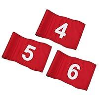 Algopix Similar Product 3 - KINGTOP Numbered Golf Flag with Tube