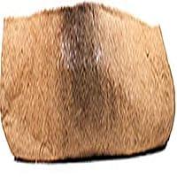 Algopix Similar Product 19 - Coco Liner 48 Trough