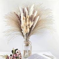 Algopix Similar Product 14 - 74 PCS Dried Pampas Grass Bouquet Boho