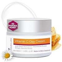 Algopix Similar Product 14 - Vitamin C Day Cream for Face and Neck