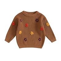 Algopix Similar Product 11 - AGGRYZY Toddler Baby Girl Knit Sweater