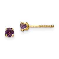 Algopix Similar Product 13 - 14k Madi K 3mm Amethyst Earrings