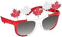 Algopix Similar Product 6 - amscan Canadian Maple Leaves Novelty