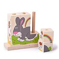 Algopix Similar Product 8 - Bigjigs Toys Stacking Blocks (Pets)