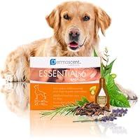 Algopix Similar Product 6 - Dermoscent Essential 6 spoton  Dog