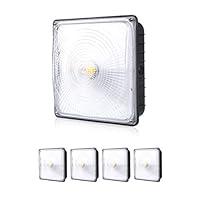Algopix Similar Product 1 - Parmida 4 Pack LED Canopy Light 70W