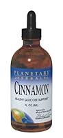 Algopix Similar Product 6 - Planetary Herbals Cinnamon Liquid