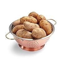 Algopix Similar Product 17 - Russet Potato