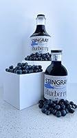 Algopix Similar Product 17 - Stingray Syrups Blueberry Syrup (16 oz)