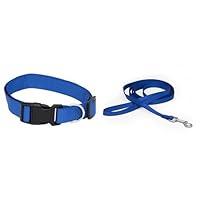 Algopix Similar Product 4 - Pet Champion Classic Basic Dog Collar