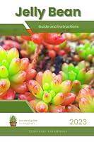 Algopix Similar Product 19 - Jelly Bean Succulent Handbook