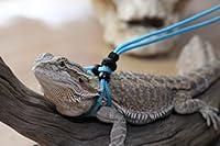 Algopix Similar Product 12 - Adjustable Reptile Leash Harness Great
