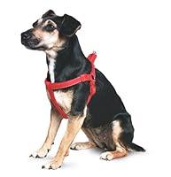 Algopix Similar Product 19 - Ancol Padded Nylon Dog Harness Red S