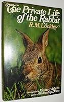 Algopix Similar Product 17 - The Private Life of the Rabbit An