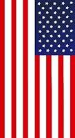 Algopix Similar Product 17 - Dohler Beach Towel, American Flag