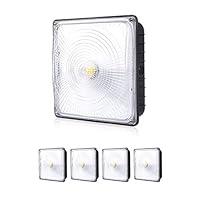 Algopix Similar Product 6 - PARMIDA 4 Pack LED Canopy Light 45W
