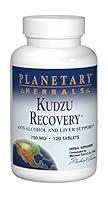 Algopix Similar Product 11 - Planetary Herbals Kudzu Recovery 750 mg