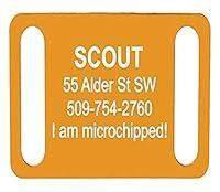 Algopix Similar Product 19 - GoTags Pet ID Personalized SlideOn