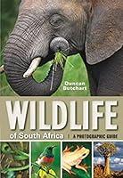 Algopix Similar Product 13 - Wildlife of South Africa A