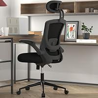 Algopix Similar Product 13 - Ergonomic Office Chair Mesh Desk