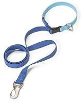 Algopix Similar Product 14 - WEST PAW Jaunts Dog Leash with Comfort