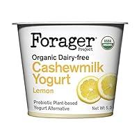 Algopix Similar Product 17 - Forager Project Organic DairyFree