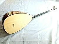 Algopix Similar Product 17 - TAGA ACOUSTIC LONG NECK MULBERRY