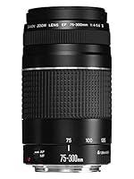 Algopix Similar Product 17 - Canon EF 75300mm f456 III Telephoto