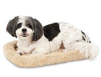 Algopix Similar Product 2 - Petmate Bolster Style Kennel Mat