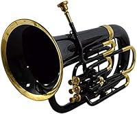 Algopix Similar Product 10 - NauticalMart Bb Euphonium Black 4 Valve