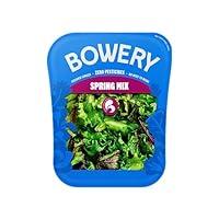 Algopix Similar Product 6 - Bowery Spring Mix Lettuce
