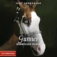 Algopix Similar Product 4 - Gunner: Hurricane Horse