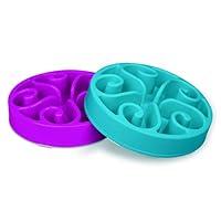 Algopix Similar Product 10 - Wangstar Slow Pet Bowl Slow Feeder for